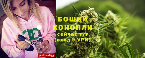 альфа пвп Дмитровск