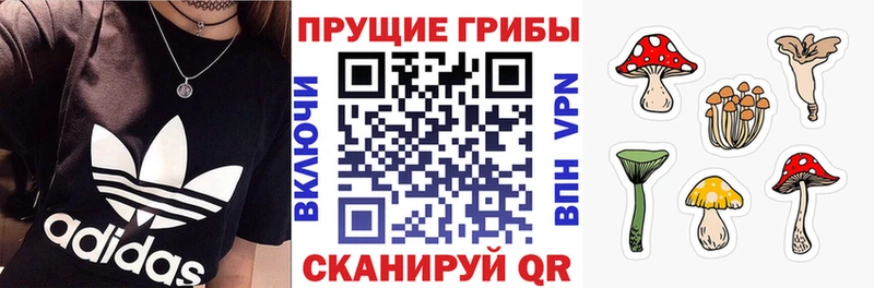 Галлюциногенные грибы Cubensis  Купить  Кимры 